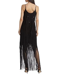 Embroidred Fringe Tulle Minidress