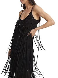 Embroidred Fringe Tulle Minidress