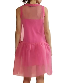 Ruffle Hem Organza Minidress