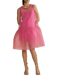 Ruffle Hem Organza Minidress