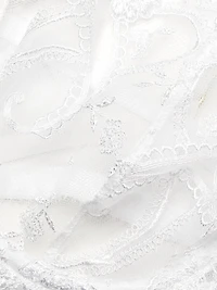 Sanika Sheer Underwire Balconette Bra