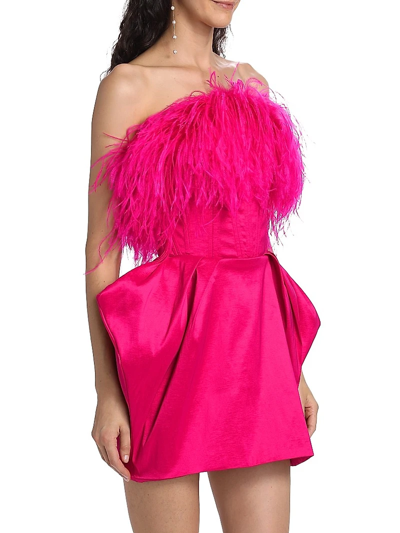 Paula Feather-Trimmed Minidress