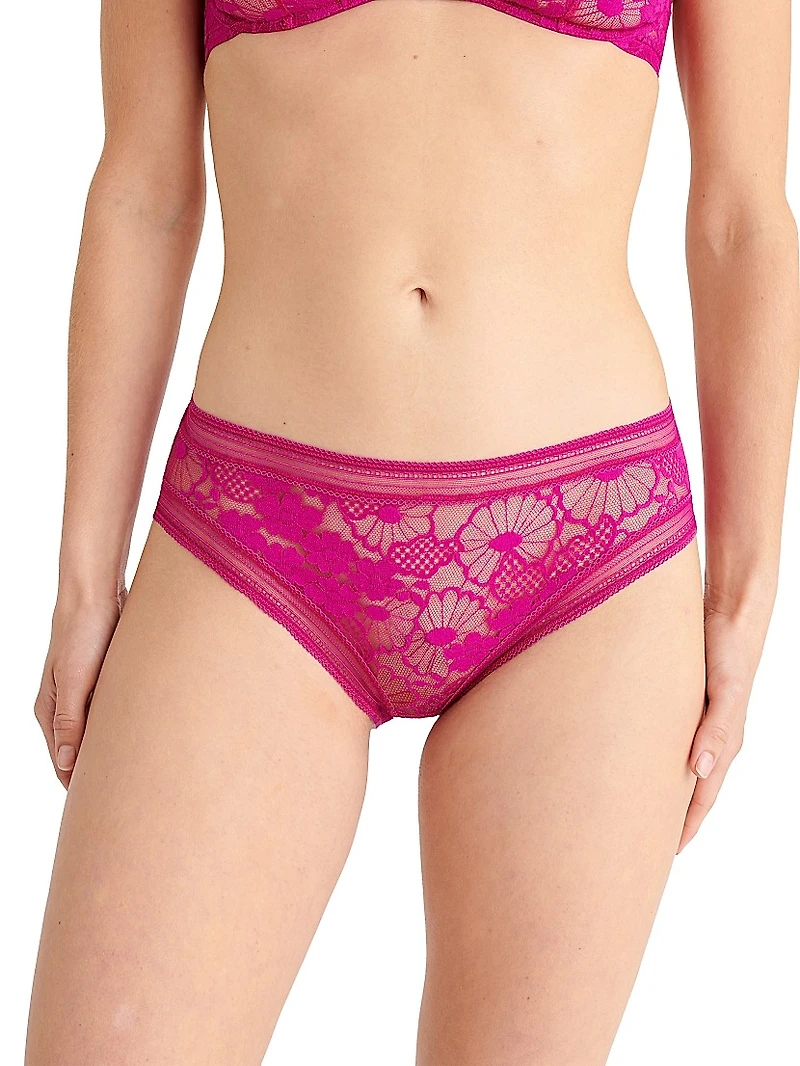 Miellee Lace Briefs