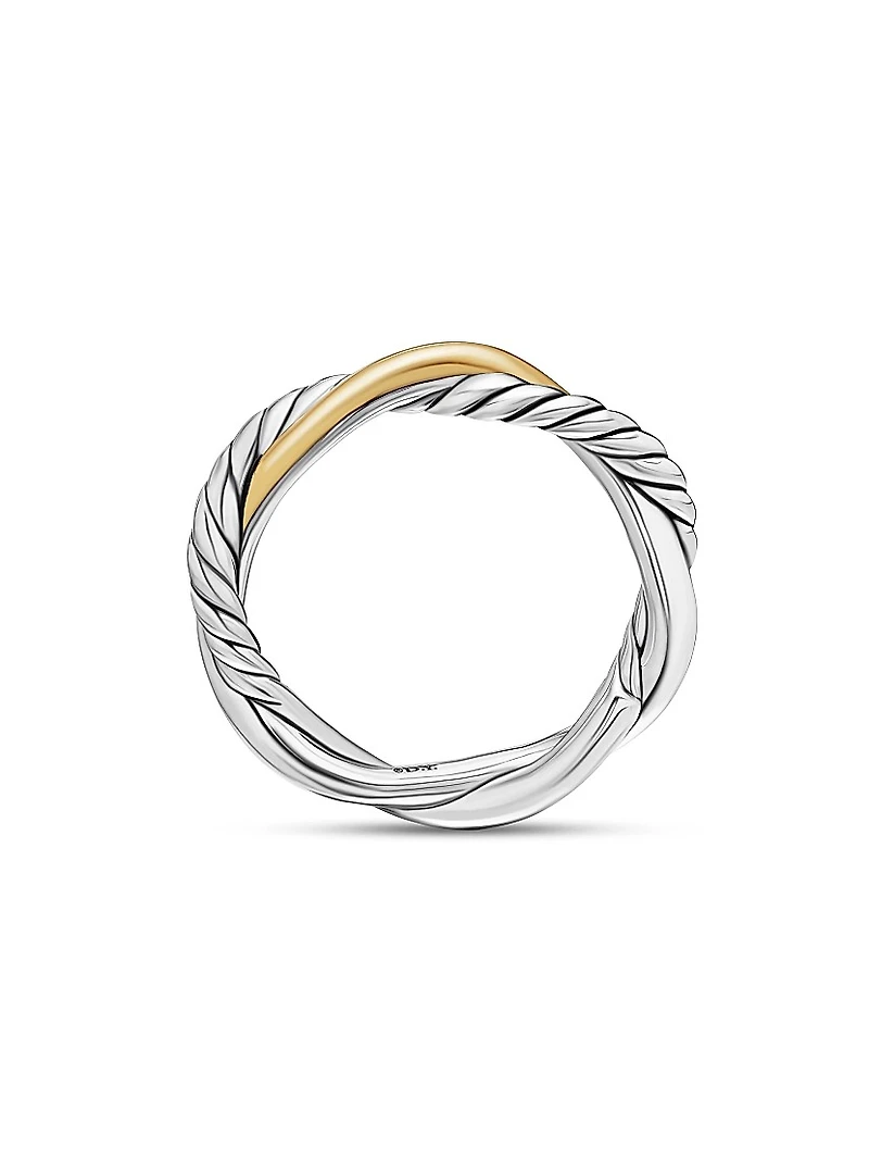 Petite Infinity Band Ring Sterling Silver with 14K Yellow Gold