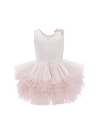 Baby Girl's, Little Girl's & Littlebrook Dress