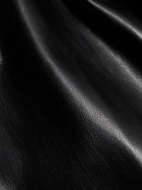 Shelly Faux Leather Pants