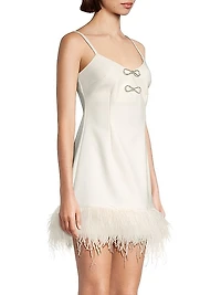 Mariany Feathered Minidress