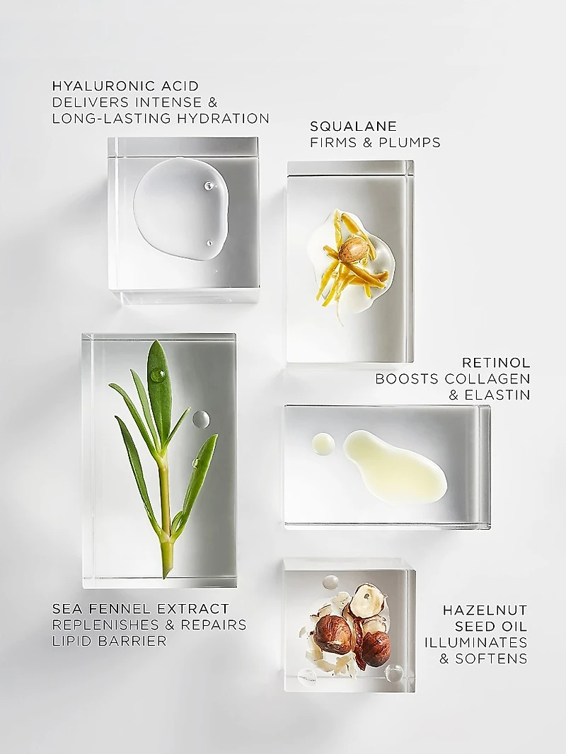 The Absolute NP Nourishing Lift Oil 30-Day Set