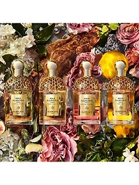 Bosca Vanilla Forte Eau de Parfum