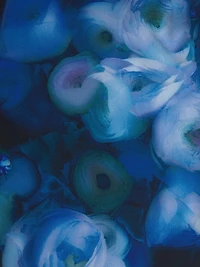 Dolan Floral One-Shoulder Gown