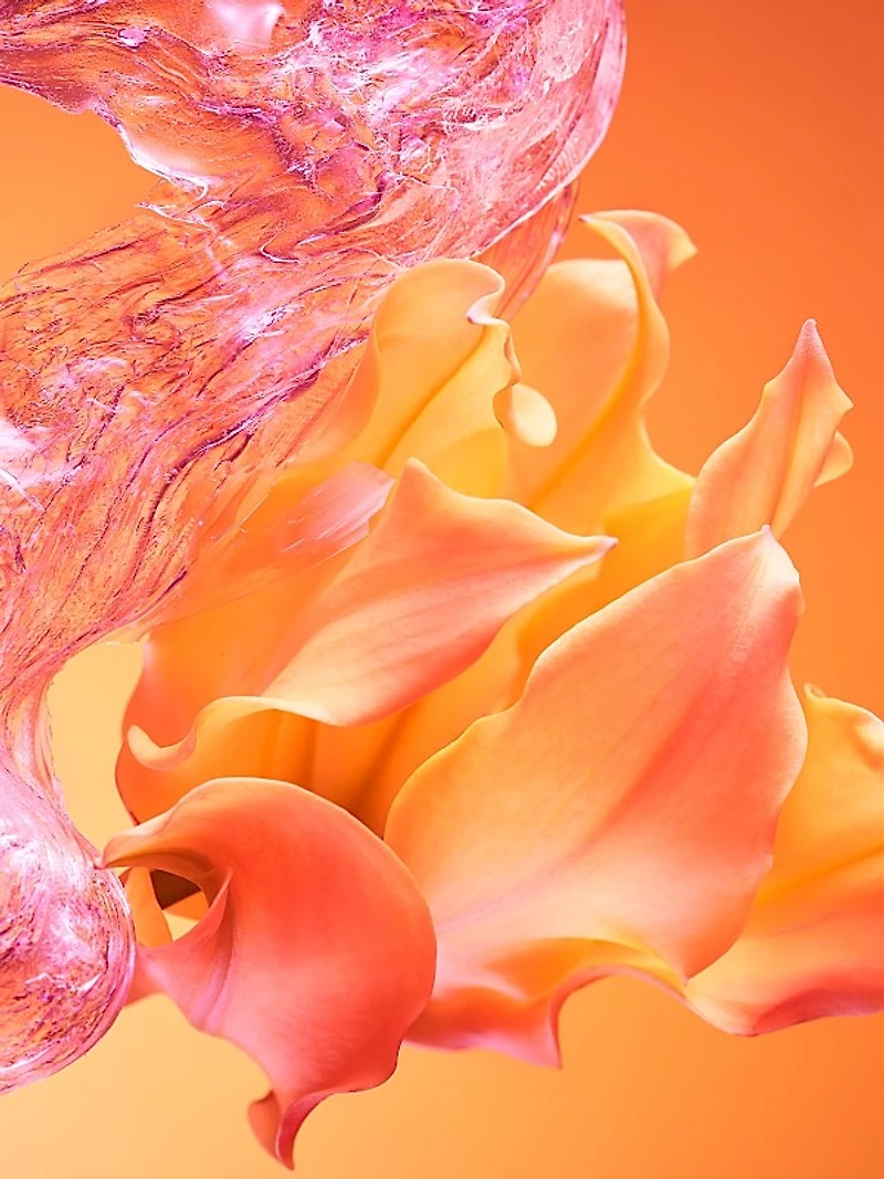 Allegra Bvlgari Passeggiata Eau de Toilette