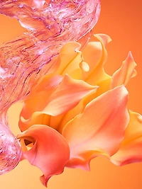 Allegra Bvlgari Passeggiata Eau de Toilette