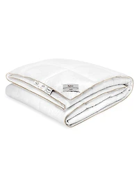 Kaiser Comforters & Pillows Collection