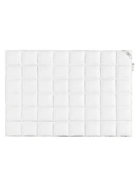 Kaiser Comforters & Pillows Collection