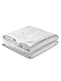 Milk Dreams Comforter & Pillow Collection