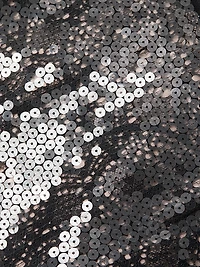 Mackenzie Sequined Lace Midi-Skirt