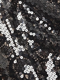 Ellie Sequined Cotton-Blend Lace Tunic