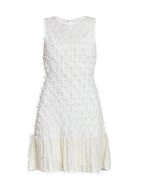 Woven Fringe-Embellished Dress