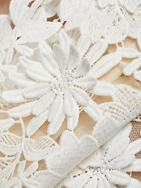 Maia Lace Long-Sleeve Minidress