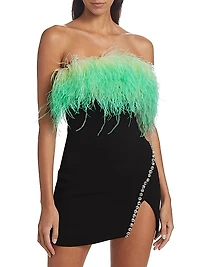 Ombré Feather Diamante Minidress