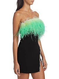 Ombré Feather Diamante Minidress