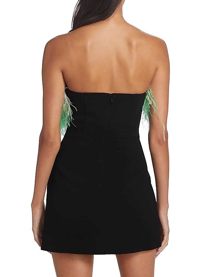 Ombré Feather Diamante Minidress