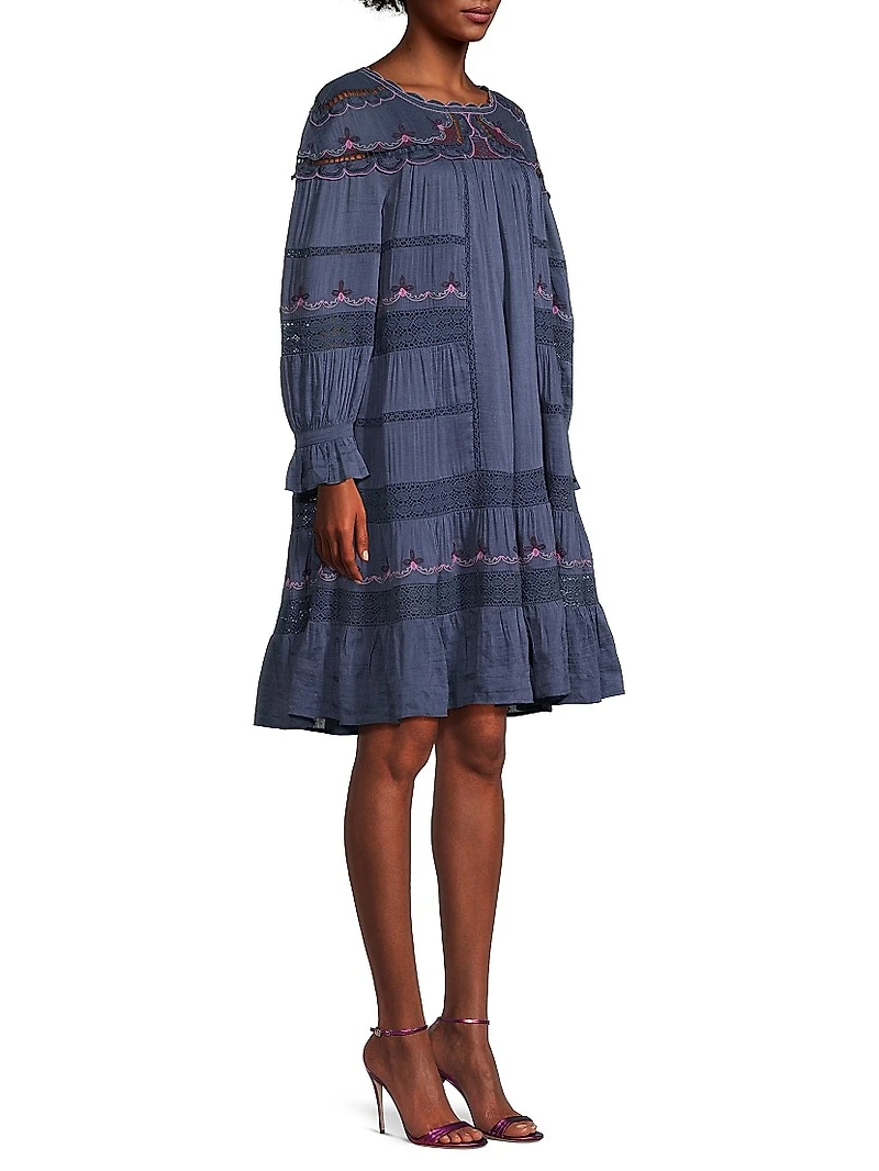 Reina Embroidered Long-Sleeve Minidress