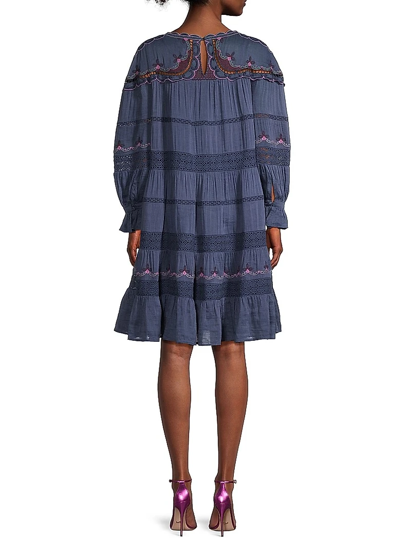 Reina Embroidered Long-Sleeve Minidress