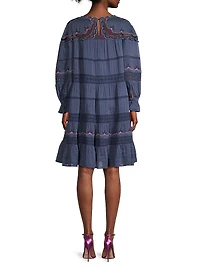Reina Embroidered Long-Sleeve Minidress