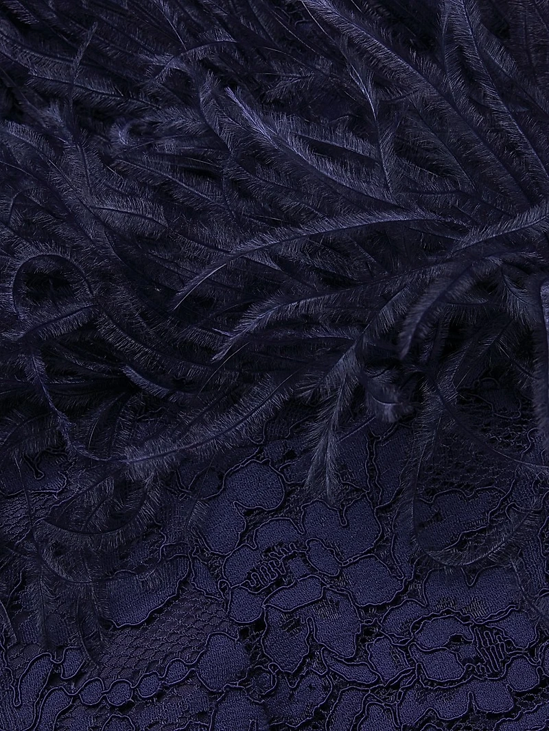 Lace & Feather V-Neck Gown