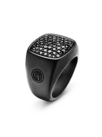 Streamline Signet Ring In Titanium