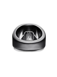 Streamline Signet Ring In Titanium