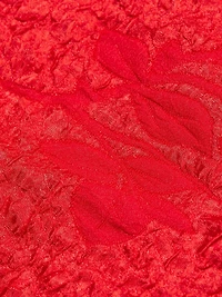 Claudia Babydoll Minidress