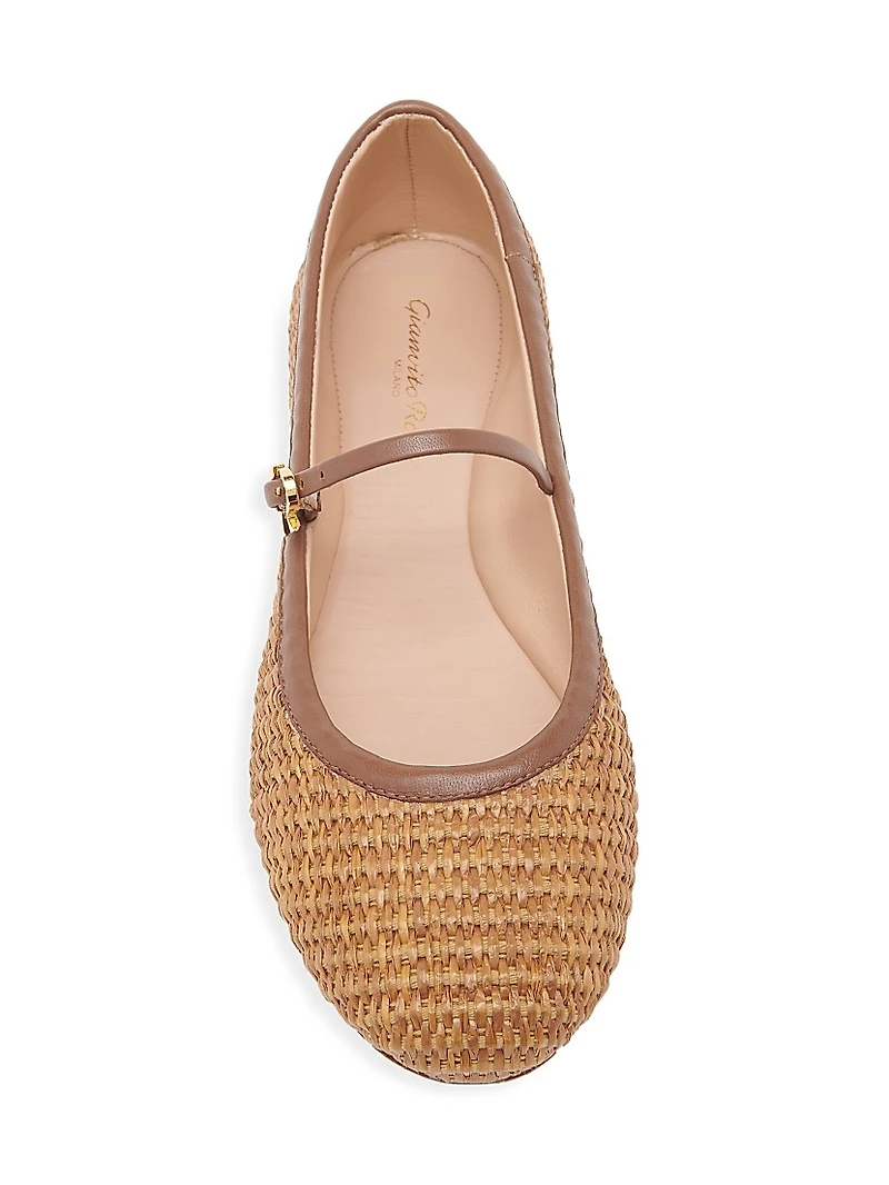 Carla Ballerina Flats