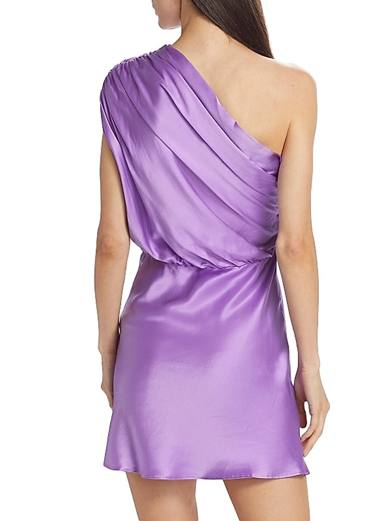 Dupree Silk Minidress