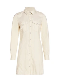 Tami Seamed Denim Minidress