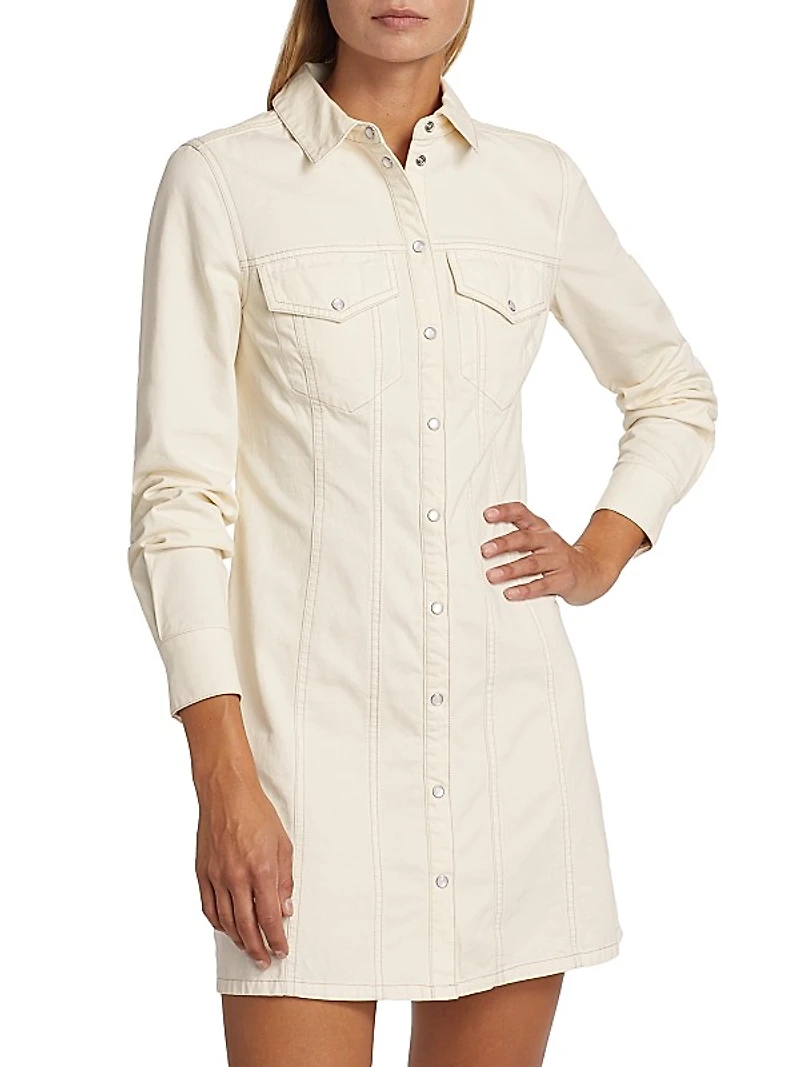 Tami Seamed Denim Minidress