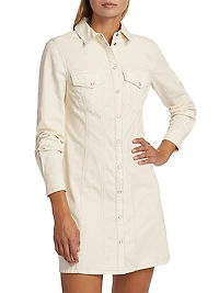 Tami Seamed Denim Minidress