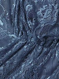 Asymmetric Embellished Lace Sleeve Gown