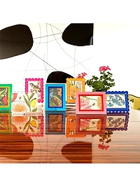 Scalloped Acrylic Frame