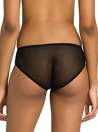 Mesh Silk Brief Panty