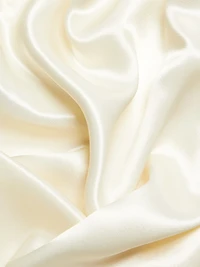 Satin Gathered-Sleeved Shirt