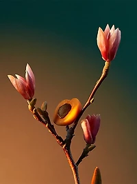 Vra Vra Vroom Eau de Parfum