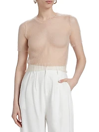 Sheer Soft Knit Crop Top