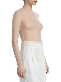 Sheer Soft Knit Crop Top