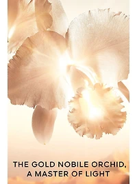 Orchidée Impériale Gold Nobile The Serum