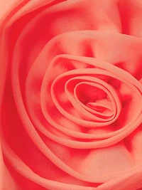 Floral Knit Crepe Minidress