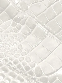 Crocodile-Embossed Leather Bustier