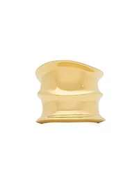 Organic Ring In Metal