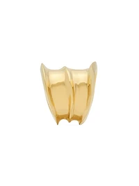 Organic Ring In Metal